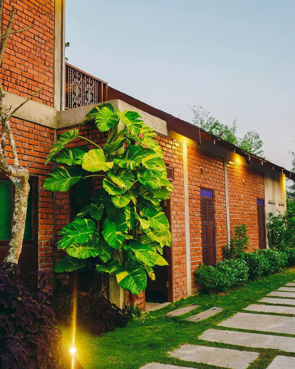 Brick walkway with lush green plants at dusk